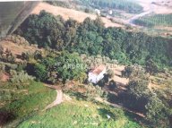 vendita rustico/corte Palaia