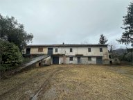 Vendita Rustico/Casale Buggiano