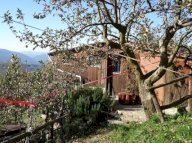 vendita rustico/corte Fivizzano