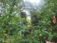 vendita rustico/corte Carrara