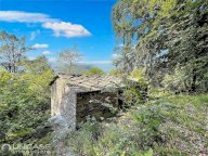 Vendita Rustico/Casale Rorà