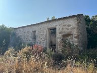 vendita colonica/casale Luogosanto