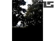 Vendita complesso colonico QUARRATA