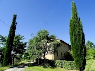 vendita colonica/casale Palaia