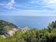 vendita rustico/corte Riomaggiore