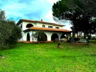 vendita colonica/casale Cecina
