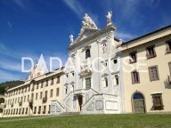 vendita colonica/casale Calci