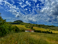 vendita colonica/casale San Miniato