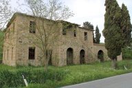 vendita colonica/casale Terricciola