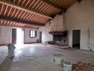vendita colonica/casale Fauglia