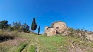 vendita colonica/casale Peccioli