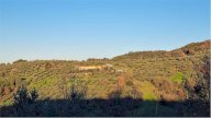 Vendita Rustico/Casale Torgiano