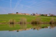 Vendita Rustico/Casale Marsciano