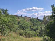 vendita colonica/casale Lajatico