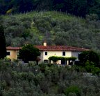 vendita colonica/casale Lamporecchio