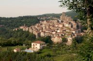 vendita rustico/corte Arcidosso