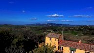 vendita colonica/casale Volterra