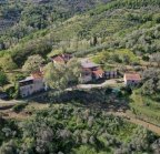 vendita colonica/casale Lamporecchio