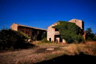 vendita colonica/casale Casole d'Elsa