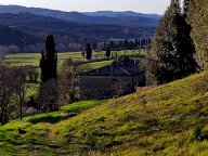 vendita colonica/casale Casole d'Elsa
