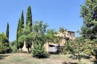 vendita colonica/casale Casciana Terme Lari