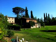 vendita colonica/casale Terricciola