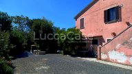 vendita colonica/casale Riparbella