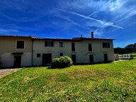 vendita colonica/casale Terricciola