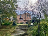 vendita colonica/casale Crespina Lorenzana