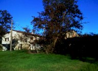 vendita colonica/casale Casole d'Elsa