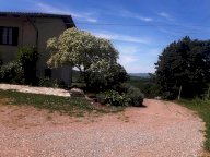 vendita colonica/casale Manciano