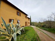vendita colonica/casale Palaia