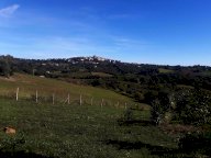vendita rustico/corte Manciano