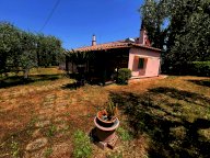 vendita colonica/casale Castagneto Carducci