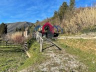 vendita rustico/corte Borgo a Mozzano