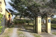 vendita colonica/casale Fauglia
