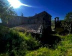 vendita colonica/casale Asciano