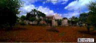 Vendita Trullo Ostuni