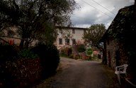 vendita colonica/casale Lucca