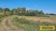 vendita rustico/corte Terricciola