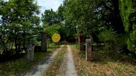 vendita colonica/casale Figline e Incisa Valdarno