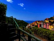 vendita colonica/casale Riomaggiore