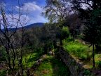 vendita rustico/corte Ameglia