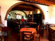 vendita rustico/corte Vicopisano
