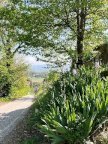 Vendita porzione di colonica SCARPERIA E SAN PIERO