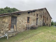 V Rustico Pellegrino Parmense