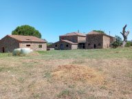 vendita colonica/casale Cinigiano