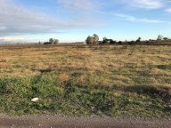 Nettuno-Terreno agricolo pianeggiante 3000 mq