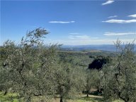 Vendita terreno agricolo CAPRAIA E LIMITE