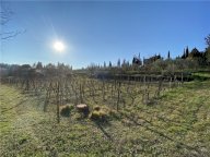 Vendita terreno agricolo SCANDICCI